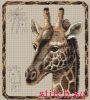 4166.thumb.jpg.4eb49d8ded53ee16cb13dff6ed9665b9.jpg