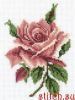 715DD263-E4AC-4F93-98B8-907F374CD94F.thumb.jpeg.8f09ca1bbe9d15990d9b1801a75ab0e9.jpeg