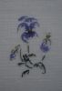 730083822__1.thumb.jpg.913818ebf46d9d3e1f69f208682bcdf6.jpg