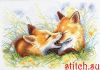 A60C89A1-22AA-4952-A42D-84D2CFE13316.thumb.jpeg.6e5b5b5f9a94662b6f2703dca82d7780.jpeg