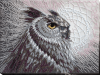 AB808-min.thumb.png.a0c2ed94c5599dc881153541476f7cd6.png