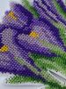 C6494D54-711F-42F1-98DD-94B00CA8AC67.jpeg.2bc43c4f5d8ec0bb0b95d94466fd88b2.jpeg