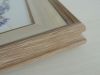 DSCN4788.thumb.JPG.aff6241b4bd65e50d4ed7b2e6480de65.JPG