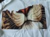 DSCN4816.thumb.JPG.136ac3b0c5af2cd8884edebe9f2e4222.JPG