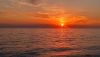 IMG-20210619-WA0053.thumb.jpg.4afa70152b45f4eba7c02002188110d8.jpg