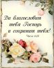 IMG-ee77fbcc663c02e5b61b6aa95c1b6277-V.thumb.jpg.0b64ebea331d7d4df8e43a0cc292bbd9.jpg