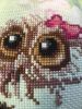IMG_0165.thumb.JPG.b262f546344513b1c35342a292028f64.JPG