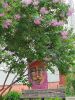 IMG_20210513_143046.thumb.jpg.c759b65ce996e9c829f11cb30c1665b2.jpg