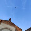 IMG_20210515_200755.thumb.jpg.fefa64e3ea6895f28d58e07be6033cb1.jpg