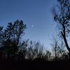 IMG_20210515_212453.thumb.jpg.4b6f9854bbabed8fd9f6ab8cf9bacf21.jpg