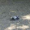 IMG_20210517_124847.thumb.jpg.960518f1de2d5eeb964cbb7b718502d7.jpg