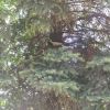 IMG_20210517_124858.thumb.jpg.88b981354d0bc824254b982e50f590bd.jpg