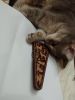IMG_20210601_020539.thumb.jpg.b259a5a82a848ebfdeacc3e4b3b40f4e.jpg