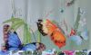 IMG_20210602_075007.thumb.jpg.c3e7eb23f33cee22bfcb856daf7819df.jpg