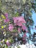 IMG_20210604_080531.thumb.jpg.310f8552b6a222177b61d8c5f69b136f.jpg