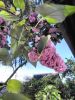 IMG_20210604_080541.thumb.jpg.3db699a4ae48df1728ee3c74df81bcce.jpg