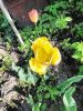 IMG_20210604_080725.thumb.jpg.47962eb993d7c324e57f0f7d5d518fb1.jpg?1623753543379