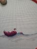 IMG_20210612_171144.thumb.jpg.f01491c21c7bd4bc9f35a256df0e3814.jpg