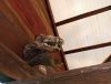 IMG_20210614_130400.thumb.jpg.b7223d9b23f32bce091bf5a1f52c22f8.jpg