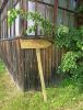 IMG_20210614_135451.thumb.jpg.ab808dc10fc6971f28cbccc3c1be5f73.jpg