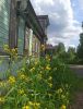 IMG_20210614_144610.thumb.jpg.d730b12382a67f8810b7808bf146cfa0.jpg