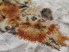IMG_20210614_172939.thumb.jpg.aeed667ad690fdbc889d75eddadc5646.jpg?1623940928686