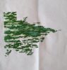 IMG_20210614_231649.thumb.jpg.d2dc1ade2c78f03bffda30adaaf35d9c.jpg
