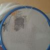 IMG_20210615_072953.thumb.jpg.8c2a647dd93de27c256799bcc2c71434.jpg