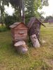 IMG_20210615_124334.thumb.jpg.72be78a7840becd7faed298f841c37b4.jpg