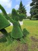 IMG_20210616_114441.thumb.jpg.edfdfd81ebecebfc7082f60fa7984905.jpg