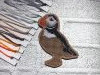 IMG_20210616_150702.thumb.jpg.5c7301748b60d9e6e8345338409ec22a.jpg