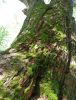 IMG_20210617_122258.thumb.jpg.bb7c64af21cacf8217976347ce9c4f85.jpg