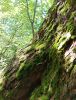 IMG_20210617_122323.thumb.jpg.f1bb530dc455164a5ecd4764940c2a59.jpg