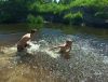 IMG_20210619_130602.thumb.jpg.0882cc57b4e148626bd7499878fae0af.jpg