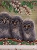 IMG_20210625_235548.thumb.jpg.216f6d0d4426d990ca6c605153e8376b.jpg