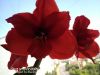 IMG_20210626_091101.thumb.jpg.7fc0c6848005fc03731bfacfadc2be1f.jpg