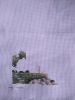 IMG_20210626_104438.thumb.jpg.9d99589cd07bd2b9e0e40a167cae8bc0.jpg