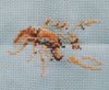 IMG_20210628_215035.thumb.jpg.085ef30c9daece451ca162628d3a35a9.jpg