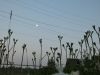 P1020802.thumb.JPG.cea8c031cbc41083ac74c59642efe856.JPG