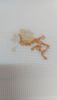 P65I7FA-OVw.thumb.jpg.41819b0bc74c8556b2373510a9e78225.jpg