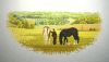 P_20210611_233719.thumb.jpg.eff673413c6f82bb62eb4229a85628ff.jpg