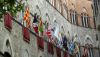 Palio-1.thumb.jpg.df8160b5ad2d18278b923098f5494143.jpg