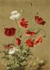 Poppies.thumb.jpg.87bb7093e1e53040b84646c3623190dc.jpg