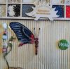 _20210604_192717.JPG