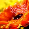 birthday-600.thumb.jpg.42cf5fdd5f54af5c113ae8e852e542b5.jpg