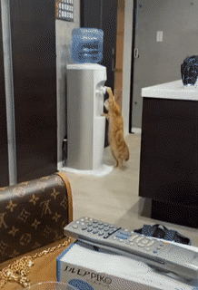 @дневники_ асоциальная сеть.gif