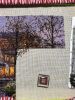 17032916-A703-4A62-93F0-663200EBD2AE.jpeg