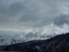 20210429_143106.thumb.jpg.a6ab142ce3f164d1a52c4e32e500d82b.jpg
