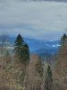20210429_143929.thumb.jpg.720a78b7198d68e5c70e6d028f689919.jpg