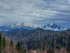 20210429_144742.thumb.jpg.9773f66d9b9d59390b251653dddbd8cf.jpg